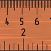 10 cm ruler size