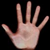 8 inch hand scan size