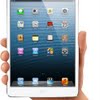 Apple ipad mini size