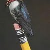 Bee hummingbird size