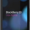 Blackberry 10 dev alpha size