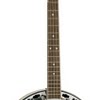 Bluegrass banjo size