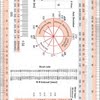 Ecg ruler size