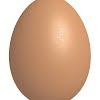 Egg size