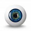 Eyeball size