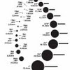 Gauge chart 2 correct one size