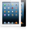 Ipad mini 3 size