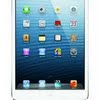 Ipad mini 4 size