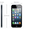 Iphone 5 5 size