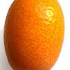 Kumquats size