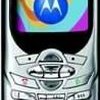 Motorola c350 size