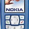 Nokia 3100 size