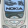 Nokia 6310 size