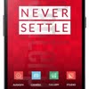 Oneplus one size