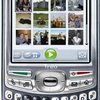 Palm treo 680 size