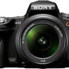 Sony alpha slt a33 size