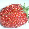Strawberry size