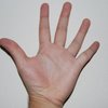 Sushy s hand 3 2 size