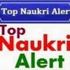 Top naukri alert size