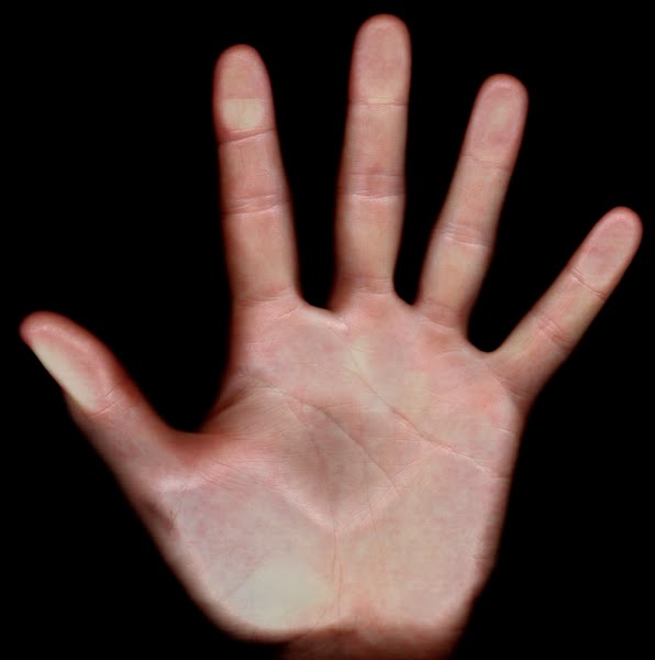 8 inch hand scan Actual Size Image