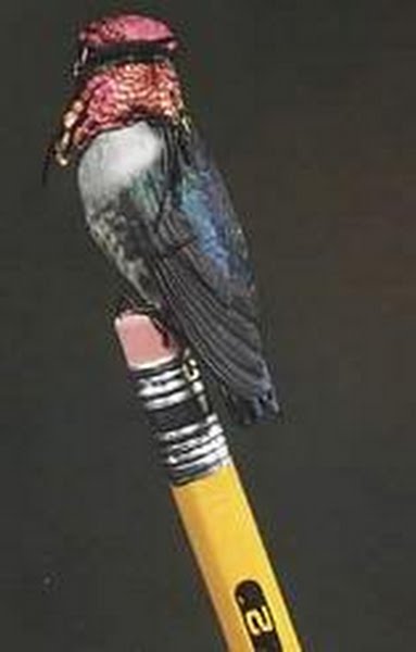 Bee Hummingbird Actual Size Image
