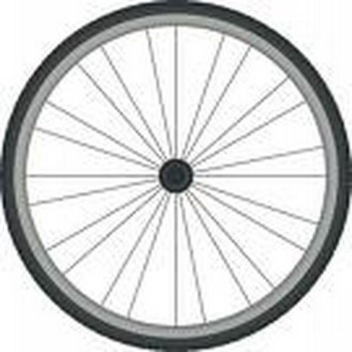 bike wheel Actual Size Image