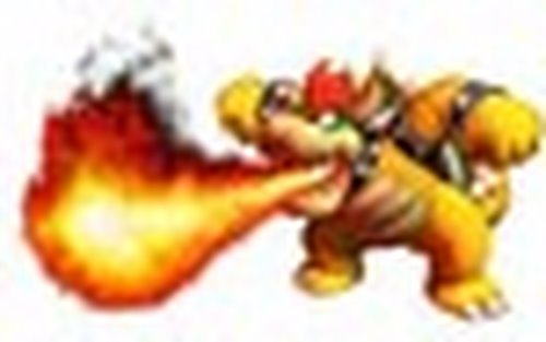 bowser Actual Size Image