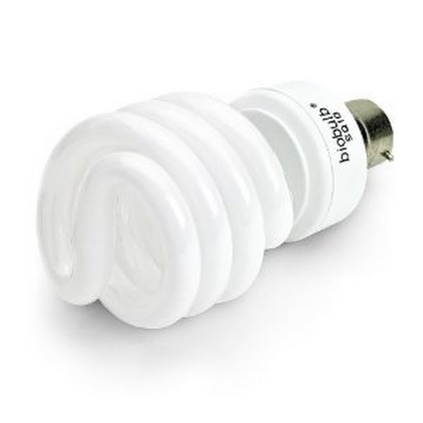 bulb Actual Size Image