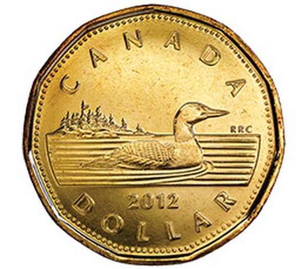 Canadian $1 Coin Actual Size Image