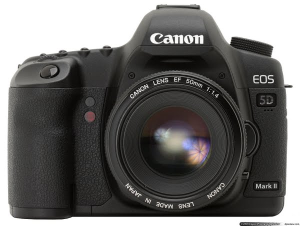 Canon 5D Mark II Actual Size Image