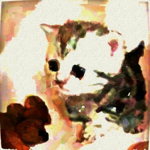 Cute Kitty Painting With Oil Brush Actual Size Image