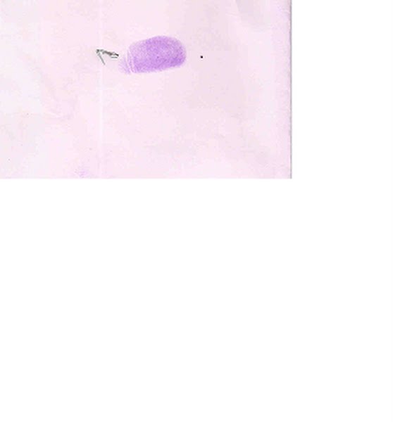 deepfp Actual Size Image