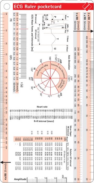 ecg ruler Actual Size Image
