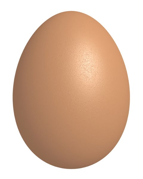 Egg