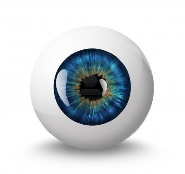 Eyeball Actual Size Image