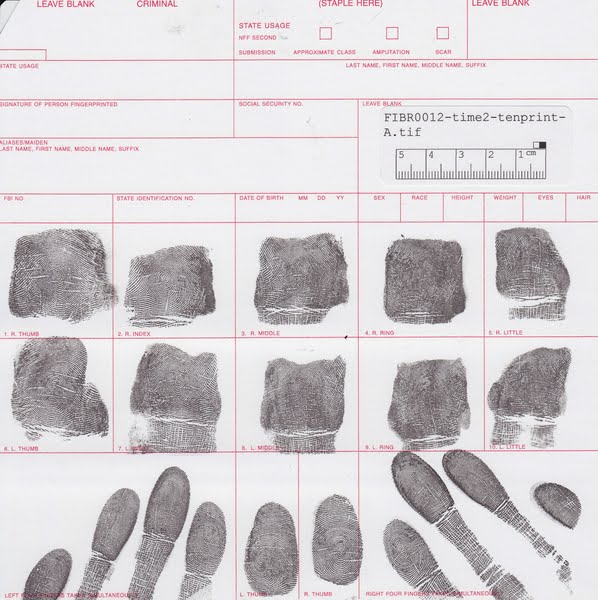 Fingerprints Actual Size Image