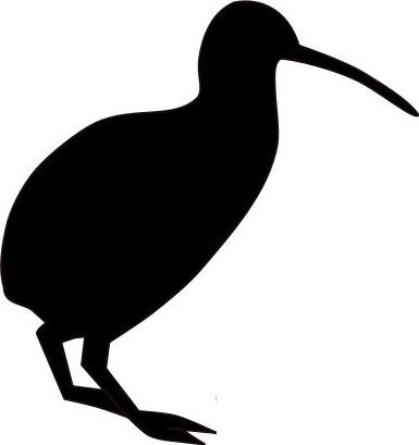 Kiwi bird Actual Size Image