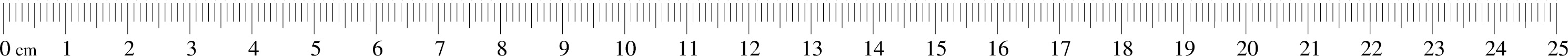 actual ruler measurements