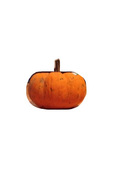 Mini Pumpkin Actual Size Image