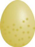 Mockingbird egg Actual Size Image