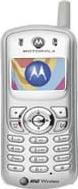 Motorola C353 Actual Size Image