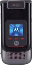 Motorola V1100 Actual Size Image