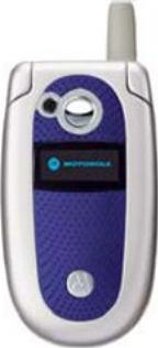 Motorola V303 Actual Size Image