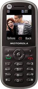 Motorola WX288 Actual Size Image