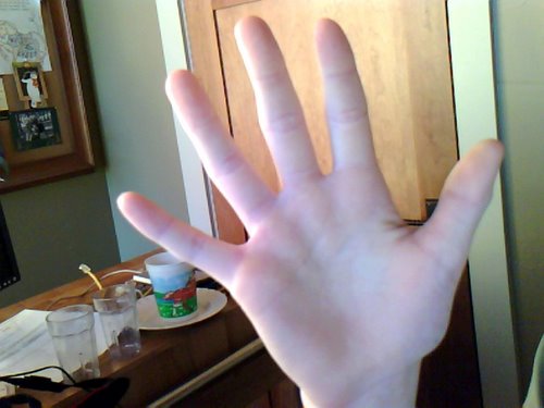 My Hand Actual Size Image