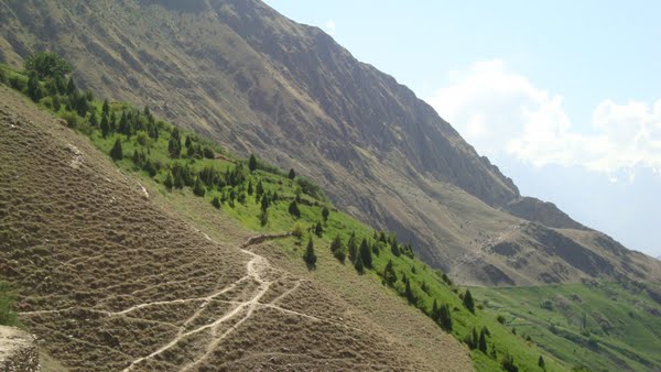 nagar valley Actual Size Image
