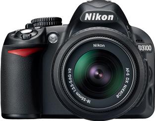 Nikon D3100 Actual Size Image