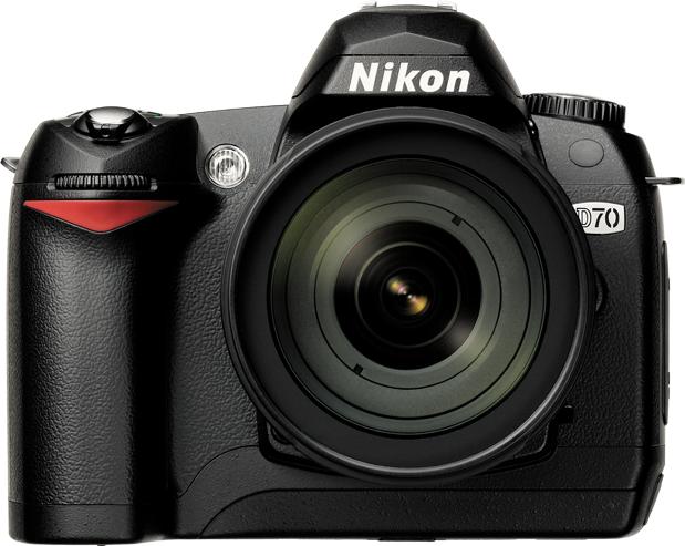 Nikon D70 Actual Size Image