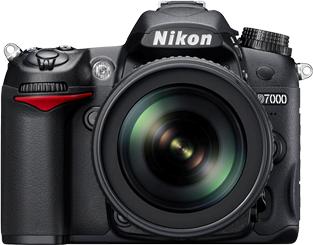Nikon D7000 Actual Size Image