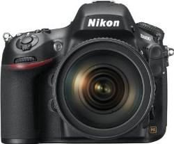 Nikon D800 Actual Size Image